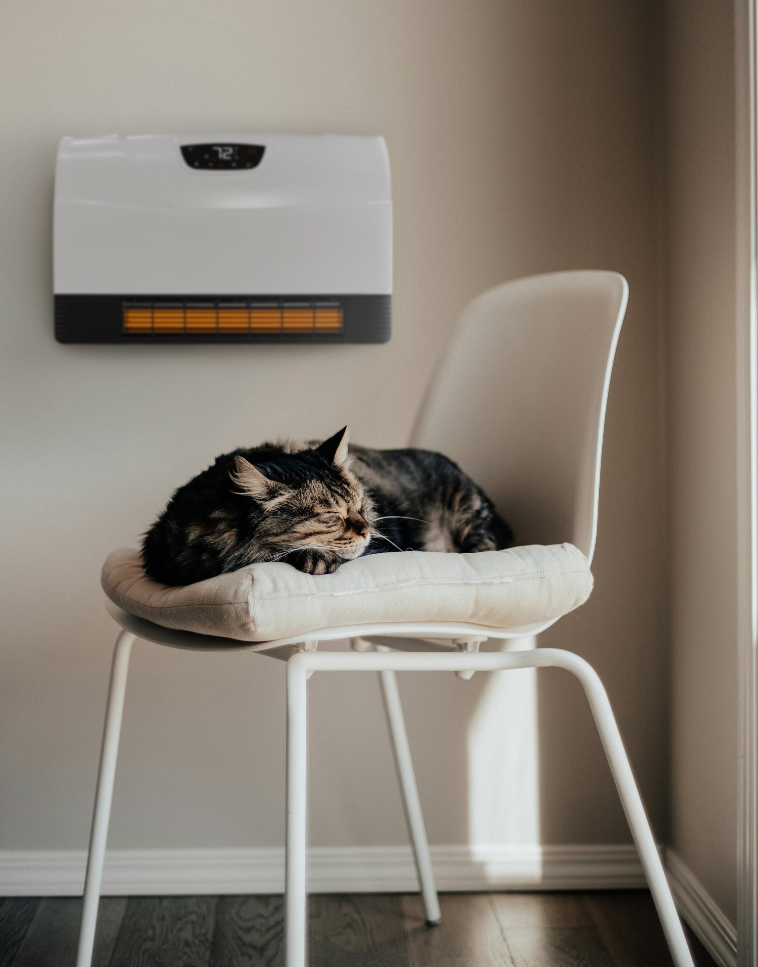 Wall heater with pet, safe for animals